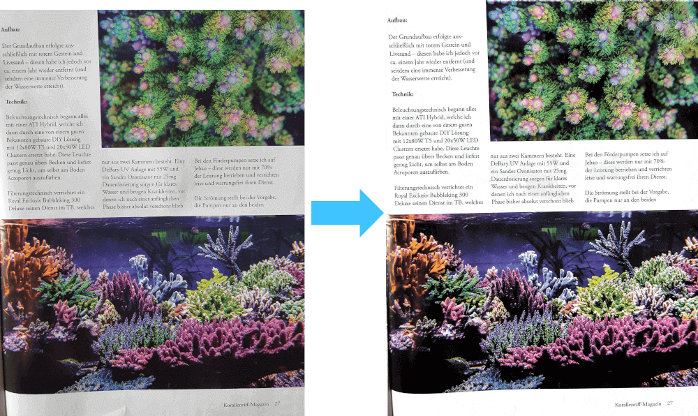 Testbilder Koralle und eprimo